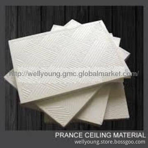 damp-proof plastic ceiling panel
